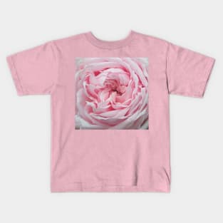 Delicate Pink Rose Flower Petal Pattern Kids T-Shirt